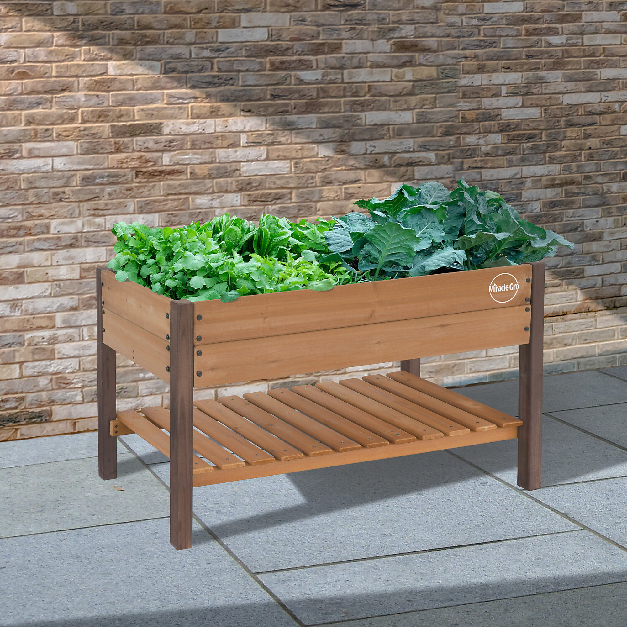 Miracle-Gro® Wood 2 x 4 ft. Raised Garden Planter with Shelf